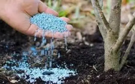 نقيب الزراعيين ينبه من أزمة نقص الغذاء العالمي نتيجة انخفاض إنتاج الأسمدة بنسبة 20%