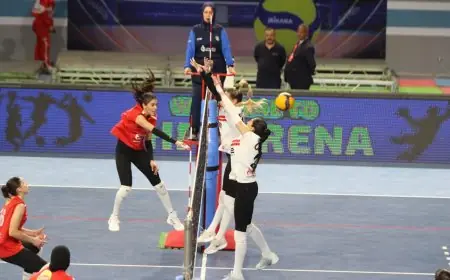 الأهلي يحقق لقب دوري الطائرة للسيدات بفوزه على الزمالك