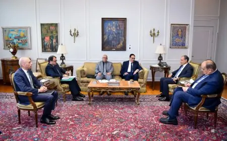 استقبال وزير الخارجية لرئيس جامعة القاهرة لبحث سبل التعاون الأكاديمي والتحضيرات لاحتفالية يوم أفريقيا