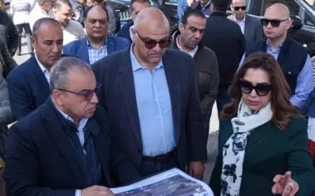 وزيرة التنمية المحلية ومحافظ الإسكندرية يزوران كوبري الفريق أول سليمان عزت لتفقد المحاور المرورية الحيوية بالمحافظة
