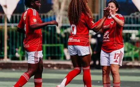 الأهلي يتحدى وادي دجلة في صراع حسم التأهل لنصف نهائي كأس مصر