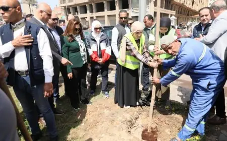 وزيرة التنمية المحلية والبيئة تعلن عن زراعة 9460 شجرة في الإسكندرية لتعزيز الاستدامة وتحسين جودة الهواء