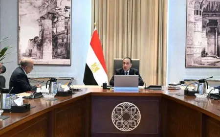 رئيس الوزراء يكشف عن خطة لإضافة مشروعات طاقة جديدة ومتجددة لتعزيز الشبكة القومية