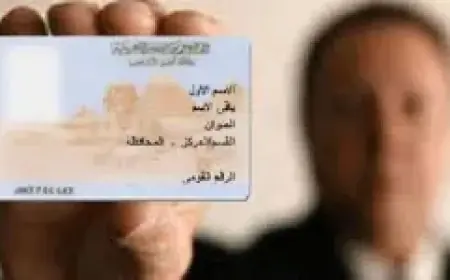 اكتشف كيف يربط الرقم القومي الخدمات الحكومية وآثارها على النفقة