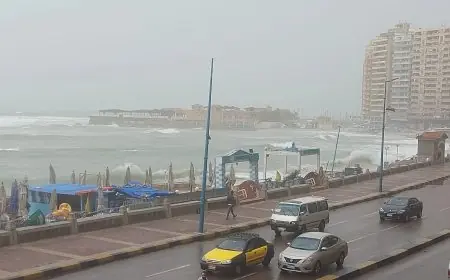 محافظ الإسكندرية يعلن عن إجازة استثنائية للموظفين والعاملين غدا