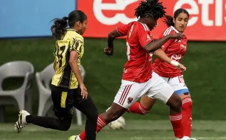 الأهلي يتعرض لهزيمة مفاجئة أمام وادي دجلة في كأس مصر بنتيجة 2-1