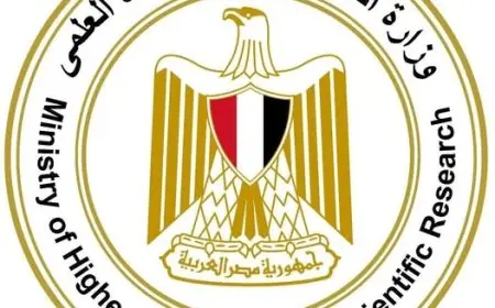 التعليم العالي تؤكد بدء الدراسة حضوريًا يوم الأربعاء المقبل