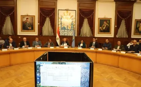محافظ القاهرة يطلق مبادرة لترشيد استهلاك الكهرباء وتعزيز استخدام الطاقة الشمسية