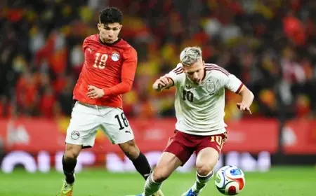 طبيب المنتخب يكشف الحقائق الكاملة حول إصابة إسلام عيسى ومحمد هاني