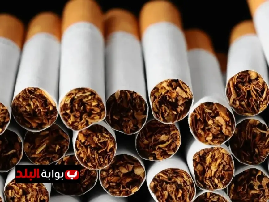 أسعار السجائر في مصر اليوم الأحد 29 مارس 2026 تعرف على القائمة الكاملة للمحلية والمستوردة