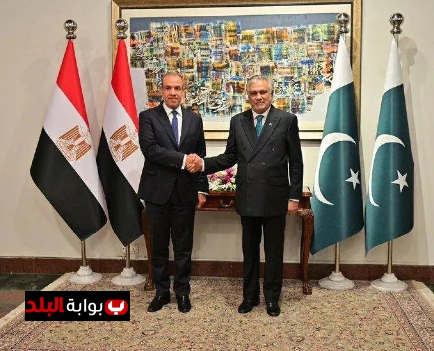 تعزيز التعاون وتقليل التوتر في المنطقة أهم نتائج اجتماع وزيري خارجية مصر وباكستان