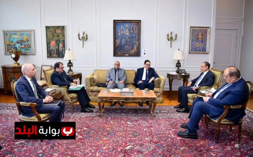 استقبال وزير الخارجية لرئيس جامعة القاهرة لبحث سبل التعاون الأكاديمي والتحضيرات لاحتفالية يوم أفريقيا