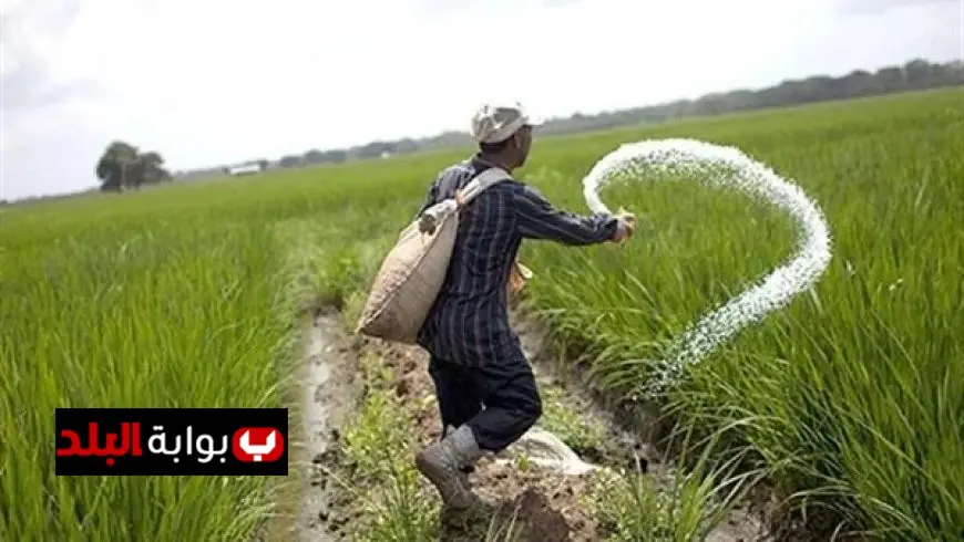 تمديد فترة صرف أسمدة الموسم الشتوي لأسبوع إضافي حتى 7 أبريل 2024