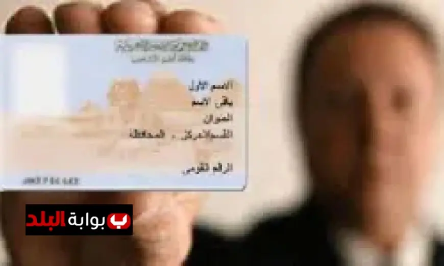 اكتشف كيف يربط الرقم القومي الخدمات الحكومية وآثارها على النفقة