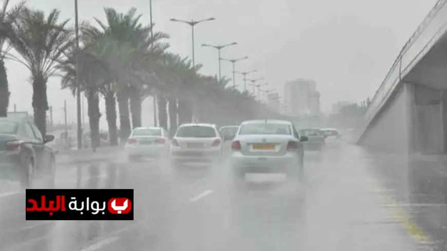 تفاصيل حقيقة إجازة الأربعاء للعاملين في الدولة والقطاع الخاص بسبب الظروف الجوية