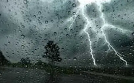 الأرصاد الجوية تحذر من أمطار رعدية غزيرة اليوم في جميع أنحاء البلاد فلنخرج منها