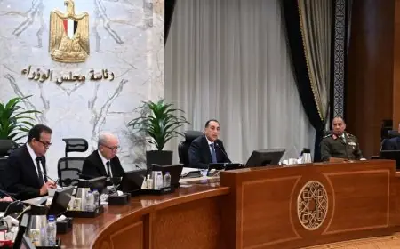 الحكومة تفرض نظام العمل عن بعد على الوزارات بدءا من 5 أبريل كل يوم أحد