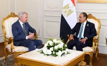 وزير الخارجية يندد بالانتهاكات المتواصلة بحق المدنيين في السودان