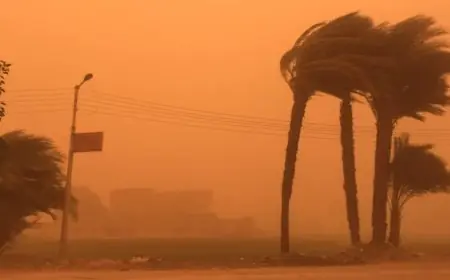 تحذيرات الأرصاد من تدهور الرؤية نتيجة تحرك الرمال والأمطار في عدة مناطق