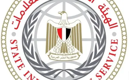 تعيين السفير علاء يوسف رئيساً للهيئة العامة للاستعلامات بقرار جمهوري