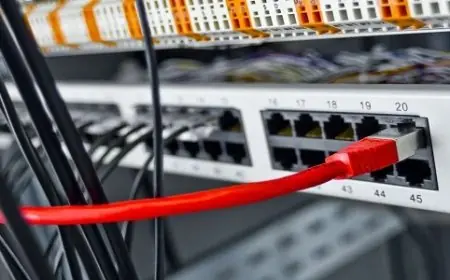 الحكومة تؤكد استقرار خدمات الإنترنت وكفاءتها رغم إجراءات ترشيد استهلاك الكهرباء