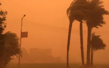 سماء مصر تتلون باللون الأصفر مع اجتياح عواصف رملية قوية