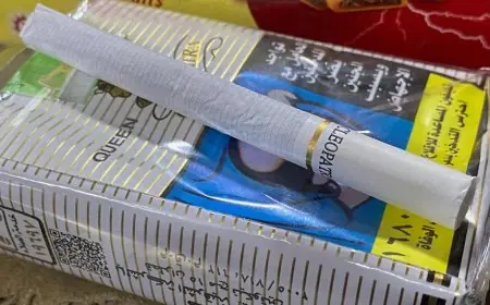 أسعار السجائر في مصر 2026 بعد الزيادة الجديدة المحلية والمستوردة وكيفية التأثير على المستهلكين