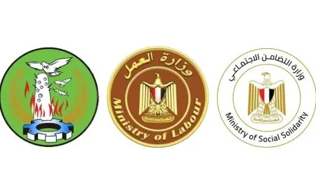 صرف 600 ألف جنيه تعويضا لأسرة كل ضحية في حادث المنوفية المؤسف