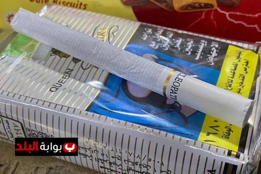 أسعار السجائر في مصر 2026 بعد الزيادة الجديدة المحلية والمستوردة وكيفية التأثير على المستهلكين