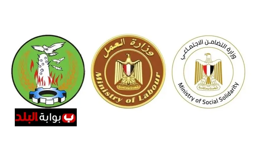 صرف 600 ألف جنيه تعويضا لأسرة كل ضحية في حادث المنوفية المؤسف